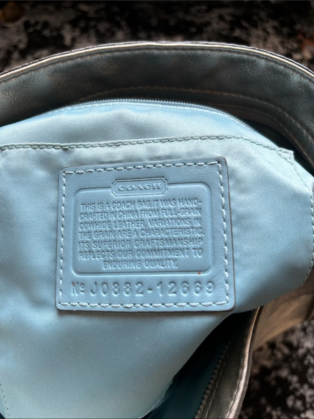 Coach Metallic Silver Leather Zoe Hobo Shoulder Bag